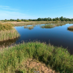Virtual_Tours-600x600