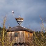 Wildlife Webcams Installation